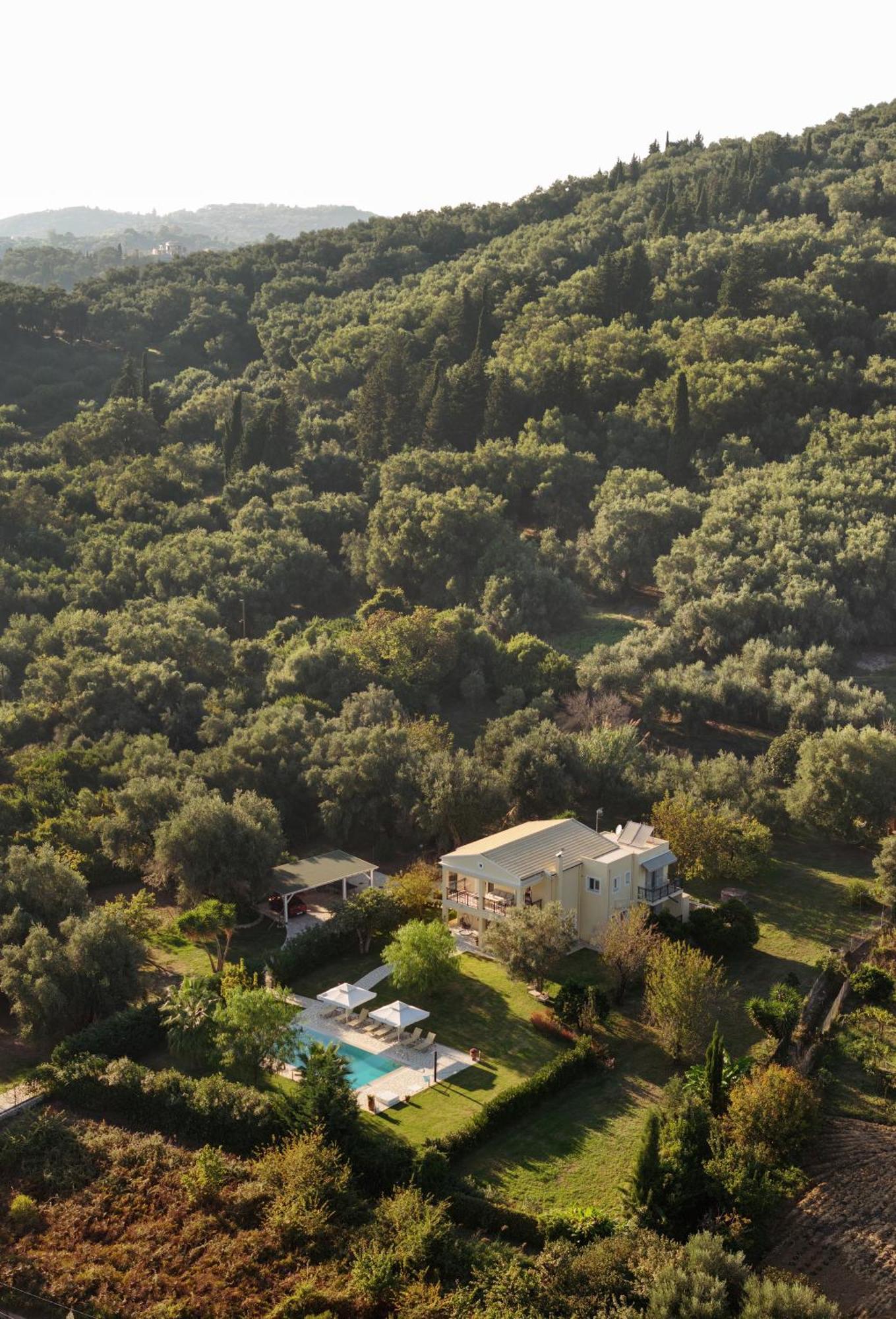 Villa Stefania Agios Georgios Pagon Esterno foto